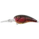 Spro RkCrawler MD 55 Crankbait 55mm 1/2oz Red Craw - Spro-Baits