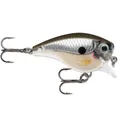 Rapala BX Brat 03 Crankbait 2" 3/8 oz Pearl Grey Shiner - Rapala-Lures