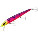 Smithwick Perfect 10 Rogue Jerkbait 5-1/2" Marvin - Smithwick