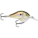 Rapala Dives-To 6 Crankbait 2" 3/8 oz Live River Shad - Rapala-Lures