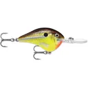Rapala Dives To 10 Crankbait 2-1/4" 3/5 oz Hot Mustard - Rapala-Lures
