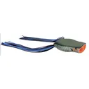 Spro Bronzeye Pop 40 Killer Gill - Spro-Baits