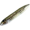 Heddon Super Spook Florida Bass - Heddon-Fishing-Lures