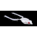 Strike King KVD Sexy Frog Pearl White - Strike-King-Lures
