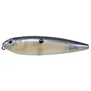 Strike King KVD Sexy Dawg Blue Gizzard - Strike-King-Lures