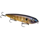 Strike King KVD Sexy Dawg Bluegill - Strike-King-Lures