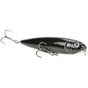 Strike King KVD Sexy Dawg Jr Black Lab - Strike-King-Lures
