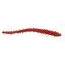 Berkley Gulp SW Sandworm 6'' Bloody 10pk - Berkley-Baits