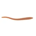 Berkley Gulp SW Sandworm 6'' Natural 10pk - Berkley-Baits
