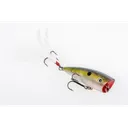 Strike King HC KVD Splash Clear Ghost Sexy Shad - Strike-King-Lures