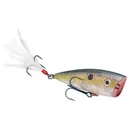 Strike King HC KVD Splash Jr Clear Ghost Sexy Shad - Natchez Shooting & Outdoors