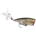 Strike King HC KVD Splash Jr Clearwater Minnow - Strike-King-Lures