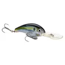 Strike King Pro Model 5XD Crankbait 5/8 oz Natural Shad - Strike-King-Lures