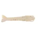 Berkley Gulp SW Shrimp 3'' Sugar and Spice Glow 6pk - Berkley-Baits