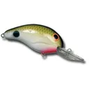 Bandit 200 Series Crankbait 2" 1/4 oz Tennessee Shad - Bandit-Lures