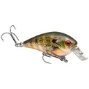 Strike King KVD Squarebill 1.0 Crankbait 2" 1/4 oz Natural Bream - Strike-King-Lures
