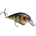 Strike King KVD Square Bill 1.5 Crankbait 2-1/4" 3/8 oz Yellow Perch - Strike-King-Lures