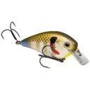 Strike King KVD Square Bill 2.5 Crankbait 2-3/4" 5/8 oz Sexy Sunfish - Strike-King-Lures