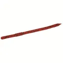 Zoom Swamp Crawler 5.5'' Cherry Seed 25pk - Zoom-Baits