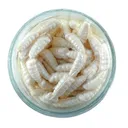 Berkley GulpAlive Waxies 2oz White - Berkley-Baits