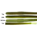 Roboworm Straight Fat 6'' Pumpkin Punisher 8pk - Roboworm-Baits