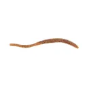 Berkley PB FltTroutWorm 3'' Pumpkinseed 15pk - Berkley-Baits
