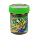 Berkley Gulp PinchedCrawleFl 2'' Nightcrawler - Berkley-Baits