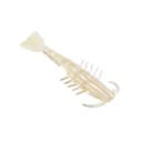 Z Man Salty Ned ShrimpZ 2.5'' Opening Night 6pk - Z-Man-Fishing
