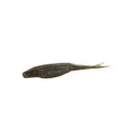 Zoom Super Fluke Jr 4'' Green Pumpkin Magic 10pk - Zoom-Baits
