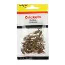 Magic Preserved Crickets .21 oz - Magic-Bait