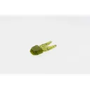 Zoom Tiny Chunk 2'' Watermelon Seed 5pk - Zoom-Baits