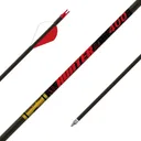 Gold Tip Hunter Hunting Arrows 400 Spine 2" Rapt-X Vanes 6/ct - Gold-Tip