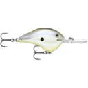 Rapala Dives-To 8 Crankbait 2" 3/8 oz Disco Shad - Rapala-Lures