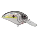 Spro Little John TR 50 Crankbait 2" 1/2 oz Homemade Shad - Spro-Baits