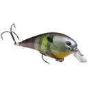 Strike King KVD Squarebill 1.0 Crankbait 2" 1/4 oz Neon Bluegill - Strike-King-Lures