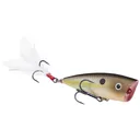 Strike King HC KVD Splash Jr Summer Sexy Shad - Natchez Shooting & Outdoors