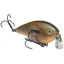 Strike King KVD Square Bill 1.5 Shallow Crankbait 3/8 oz Orange Bream - Strike-King-Lures