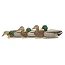 Avian-X Topflight Fusion Pack - Mallard 6/ct - Avian-X