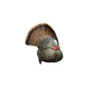 Avian-X LCD Strutter Turkey Decoy - Avian-X