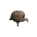 Avian-X LCD - Feeder Hen Turkey Decoy - Avian-X