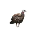 Avian-X LCD - Breeder Hen Turkey Decoy - Avian-X