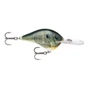 Rapala Dives-To 8 Crankbait 2" 3/8 oz Live Bluegill - Rapala-Lures
