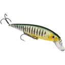 Strike King KVD Jerkbait 2 Hook Pro 4-1/2" 3/8 oz Phantom Perch - Strike-King-Lures