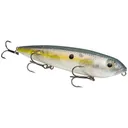 Strike King KVD Sexy Dawg Clear Sexy Shad - Natchez Shooting & Outdoors
