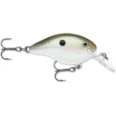 Rapala Dives To 4 Crankbait 2" 5/16 oz Green Gizzard Shad - Rapala-Lures