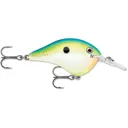 Rapala Dives-To 6 Crankbait 2" 3/8 oz Citrus Shad - Rapala-Lures