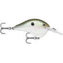 Rapala Dives-To 6 Crankbait 2" 3/8 oz Green Gizzard Shad - Rapala-Lures