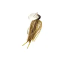 ChatterBait Mini 1/4 oz Green Pumpkin/Black - Z-Man-Fishing