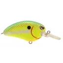 Spro Little John MD Crankbait 2" 1/2 oz Chartreuse Nasty - Spro-Baits