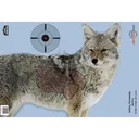 Birchwood Casey Pregame Targets - Coyote 16.5"x24" 3/ct - Birchwood-Casey